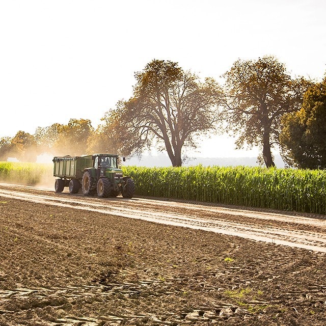 Knorr Products are on their way to becoming Sustainably Sourced