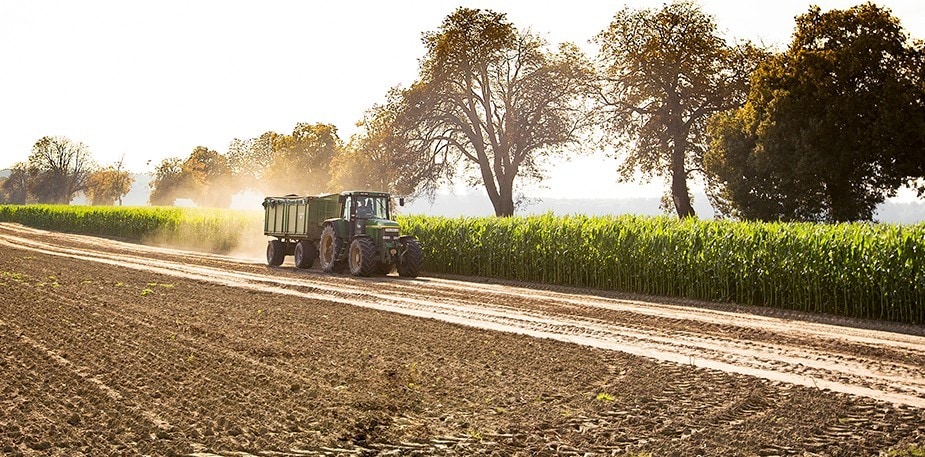 Knorr Products are on their way to becoming Sustainably Sourced