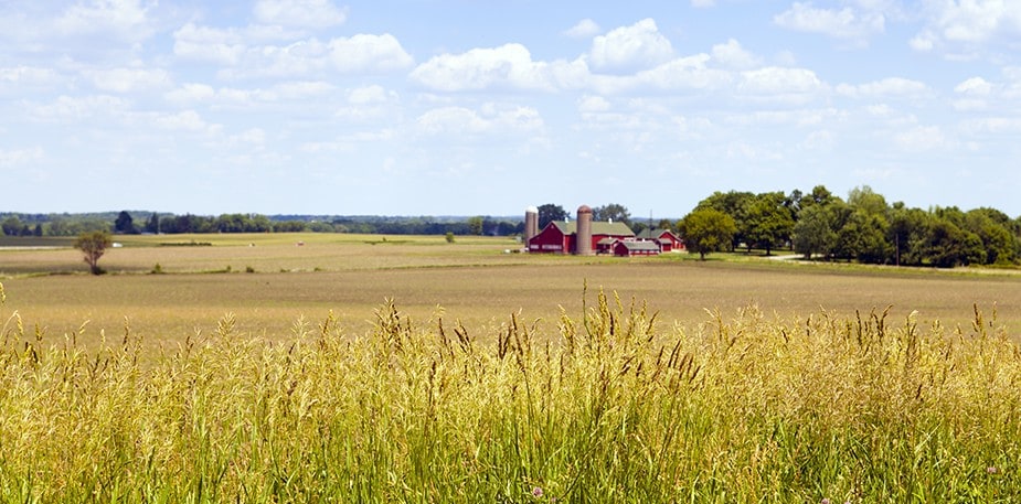 Infographic: Learn how we are becoming more sustainable