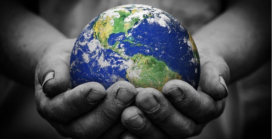 Want to help the environment in your kitchen? Here are the ways to do it…