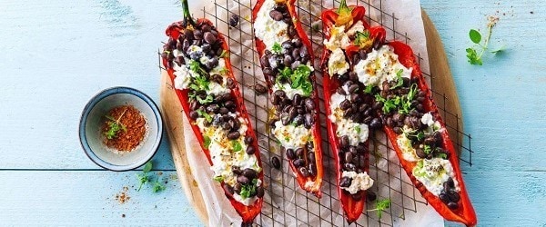 Vegetarian Mains Playlist