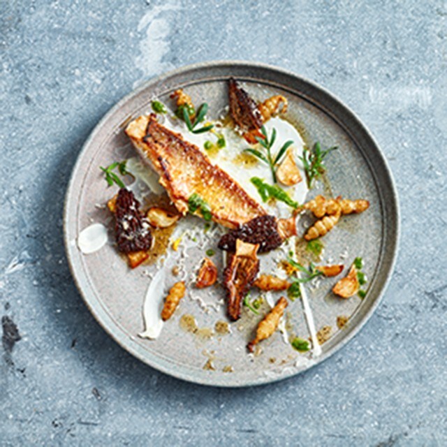 8 Modern Food Plating Trends & Presentation Styles