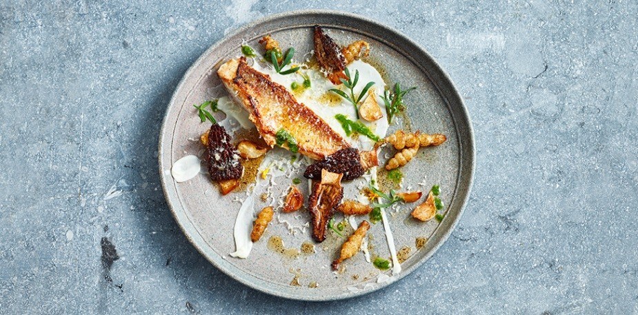 8 Modern Food Plating Trends & Presentation Styles