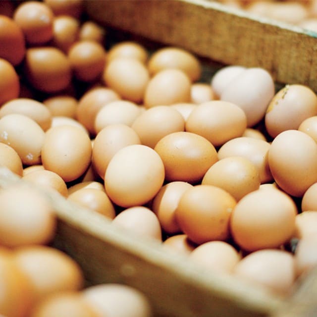 Protecting Profits in Foodservice: How to Calculate Food Cost Effectively