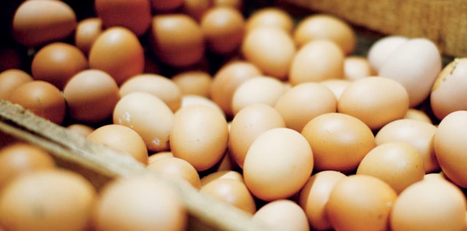 Protecting Profits in Foodservice: How to Calculate Food Cost Effectively