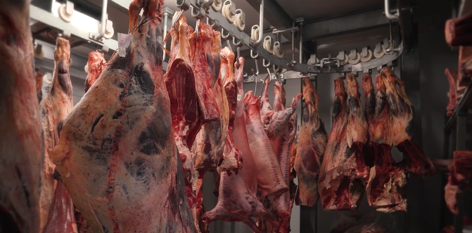 Sourcing Meat