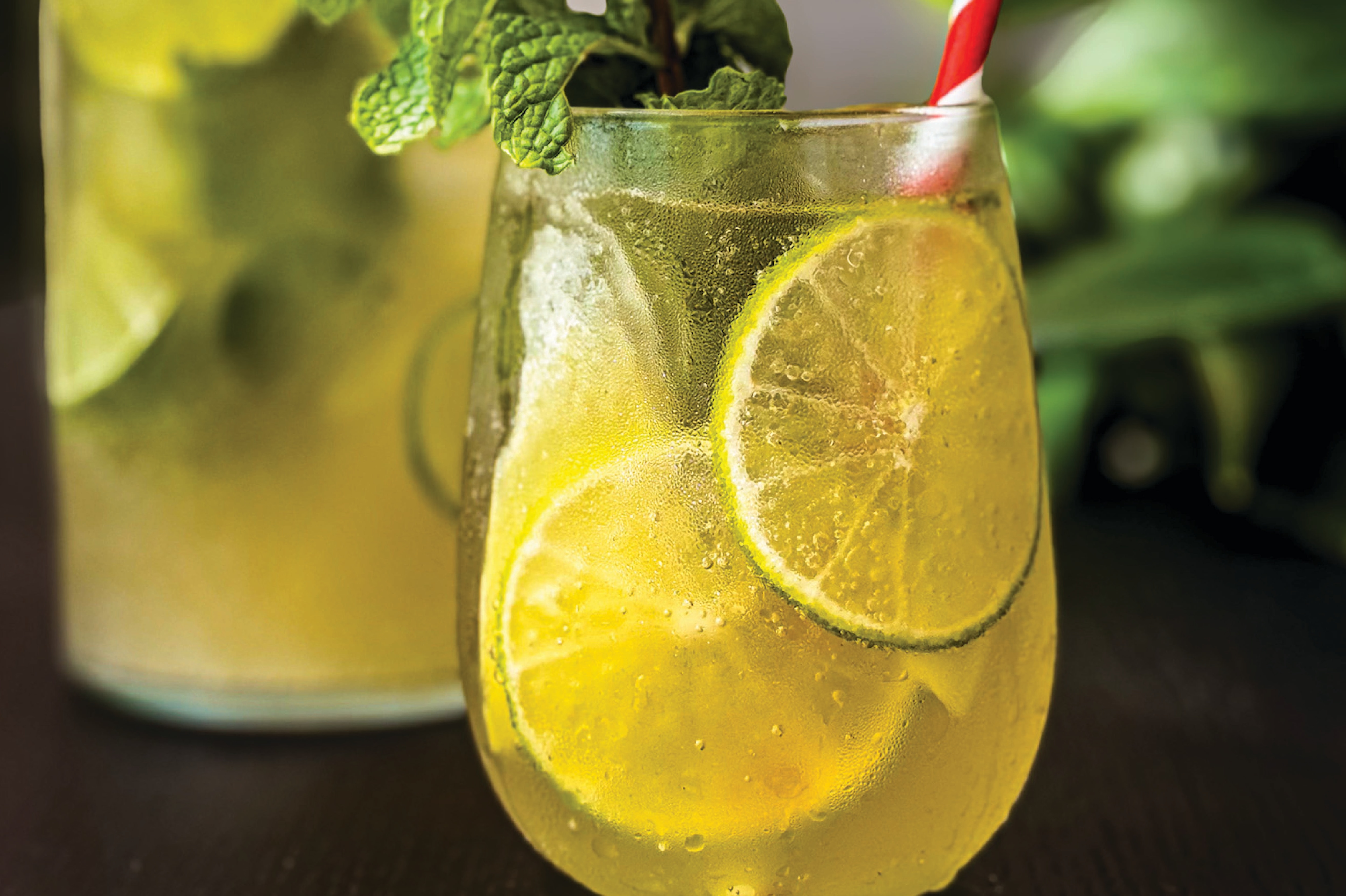 Lime Mint Ginger Ale Juice